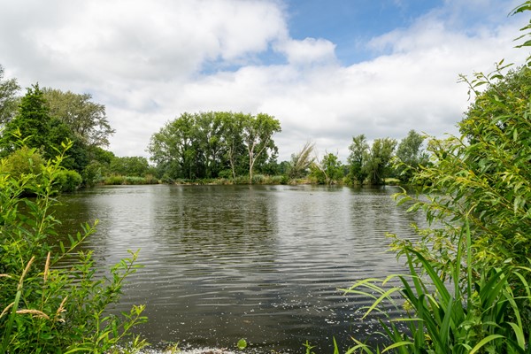 Medium property photo - Maasdijk 50, 4284 VC Rijswijk (Nb)